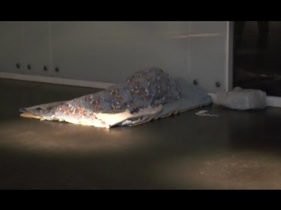 Napoli - Clochard morto per il freddo al Centro Direzionale (19.01.16)