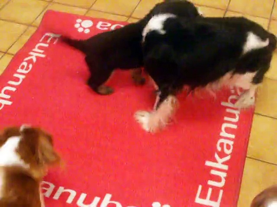 L'Maïna  du Clos Bel'Alpe avec Chanel