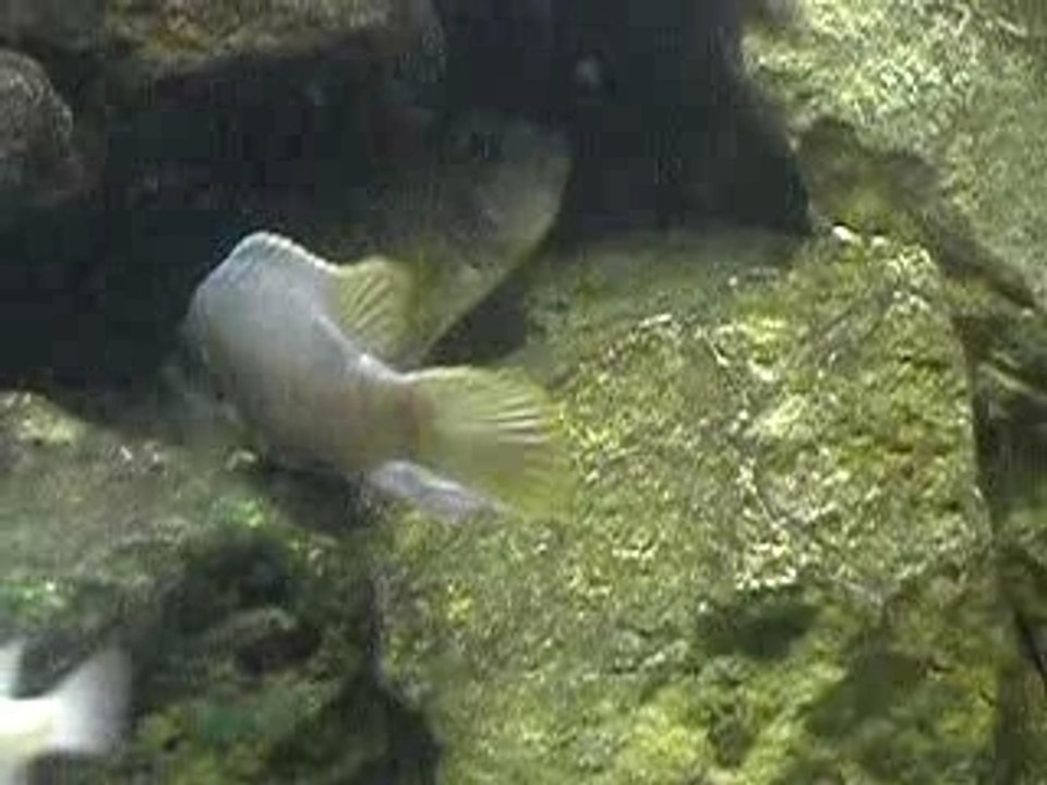 DSCN0070