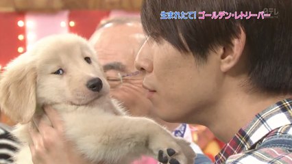 No Puppy Kisses For Aiba 没有小狗亲吻的相叶雅纪