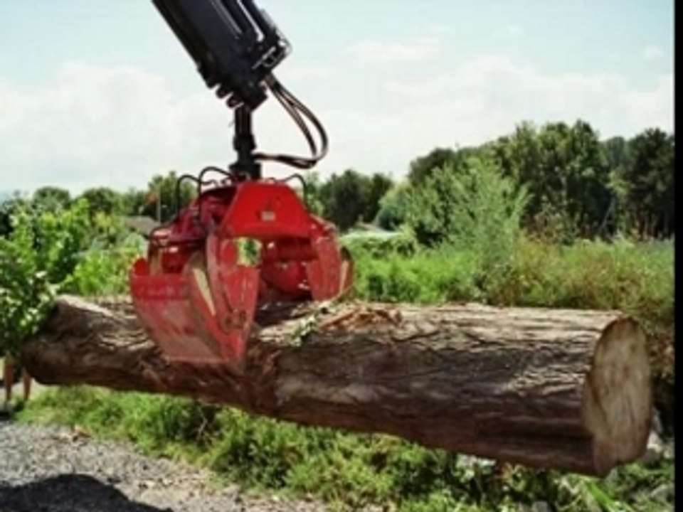 Grapner - Entfernen eines Baumstamms