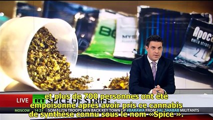 Spice  la drogue zombie-cannibale HD