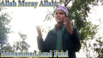 Muhammad Asad Faizi - Allah Meray Allah