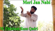 M. Ehtisham Raza Qadri - Meri Jan Nabi