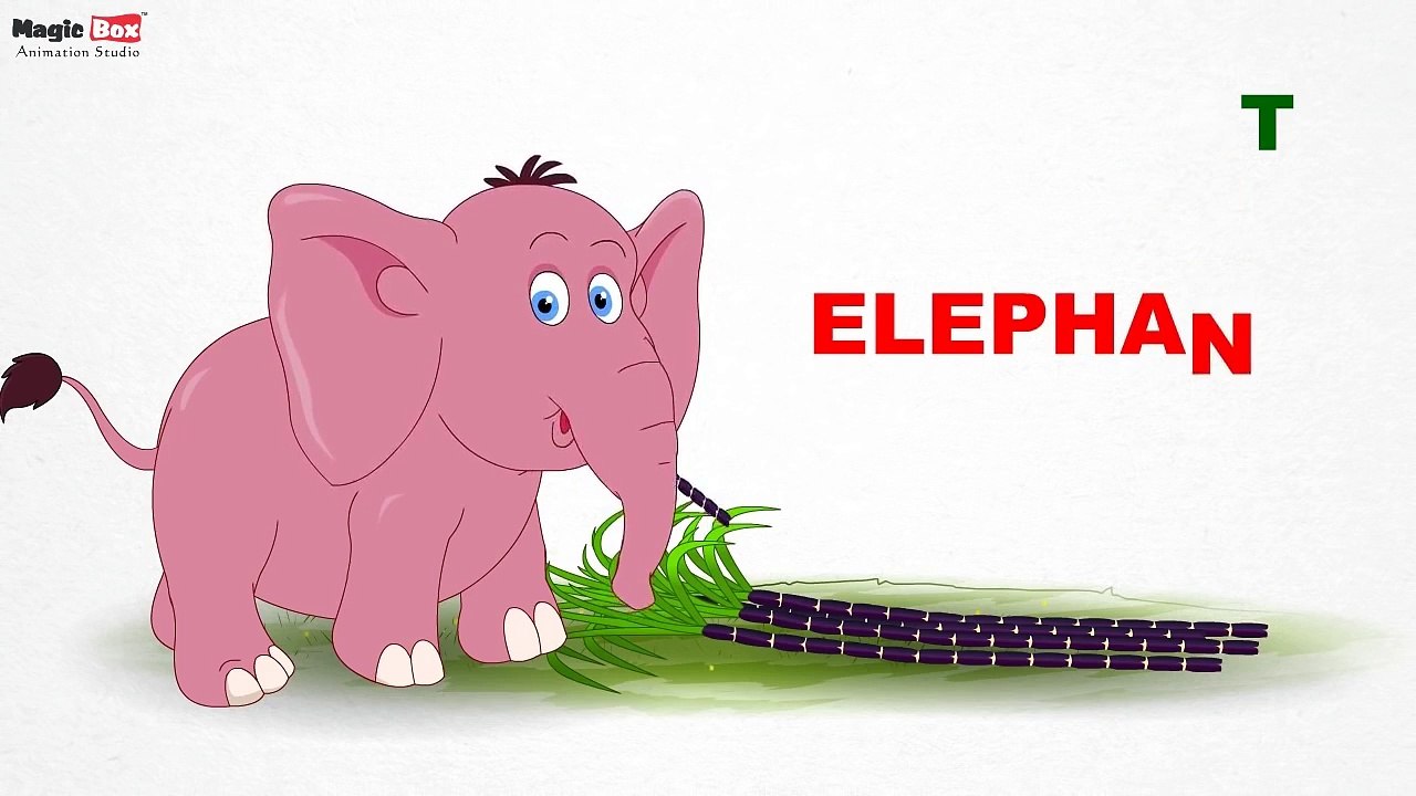 Wild Animals Pre School Learn English Words (Spelling) Video For Kids and Toddlers