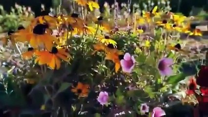 The Story Behind Neil Armstrong and first step on the moon New Documentary 2015 Video June 2016