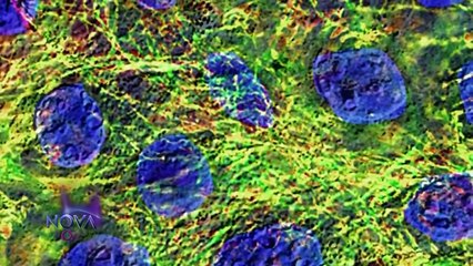 The Story Behind Neil Armstrong and first step on the moon New Documentary 2015 Video June 2016