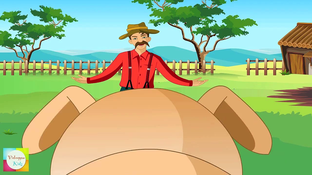 BINGO Dog Song - Nursery Rhymes | Animation Rhymes and Songs For Children