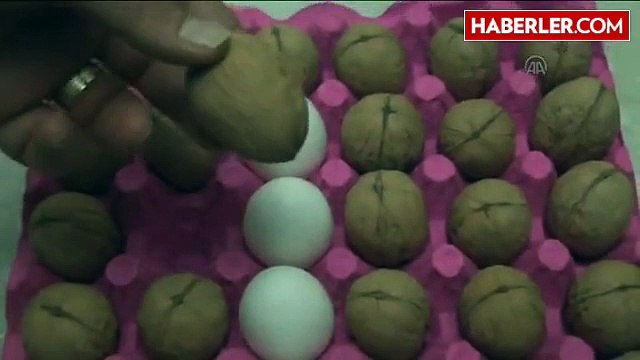 Yumurta Büyüklüğünde Organik Ceviz