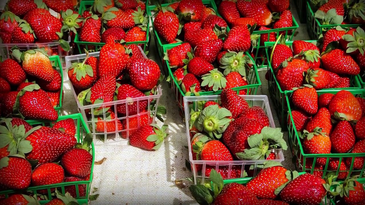 Supply and Demand Crash Course Economics 4 video Dailymotion