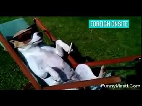 Life of IT Employees. Very Interesting Videos.