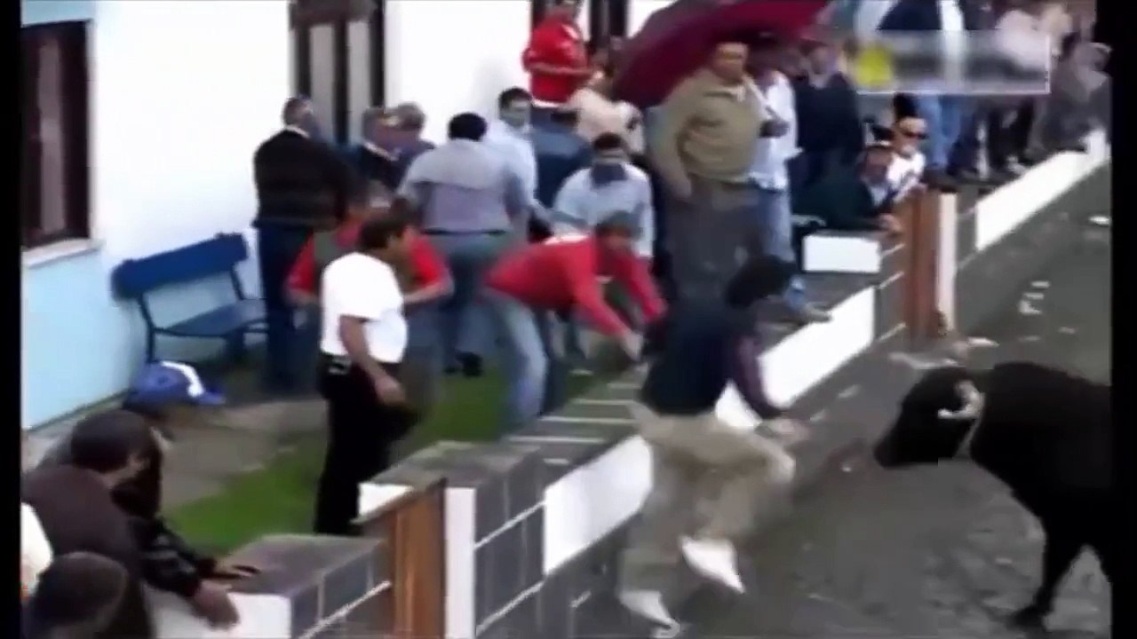 En komik boğa kazaları The best bull funny accidents