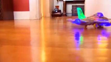 Can We Survive the Zombie Apocalypse? - Weekly Weird News