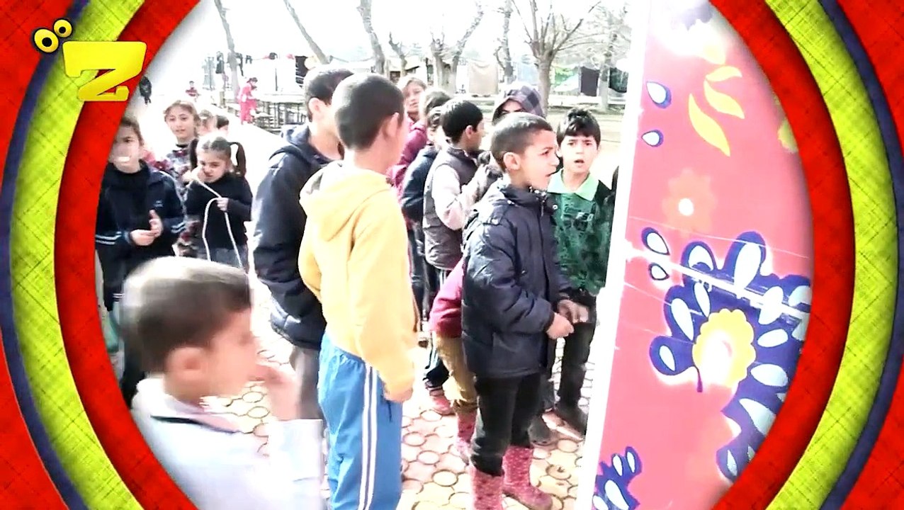 DORA TE 6