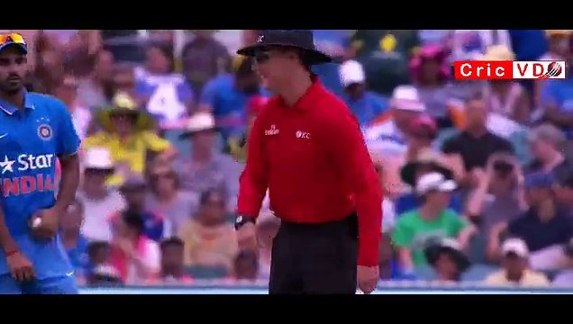 Ball hits the bowler, umpire and then stumps