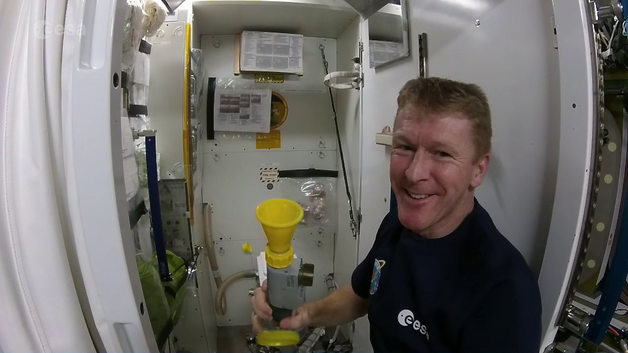 How to use the loo