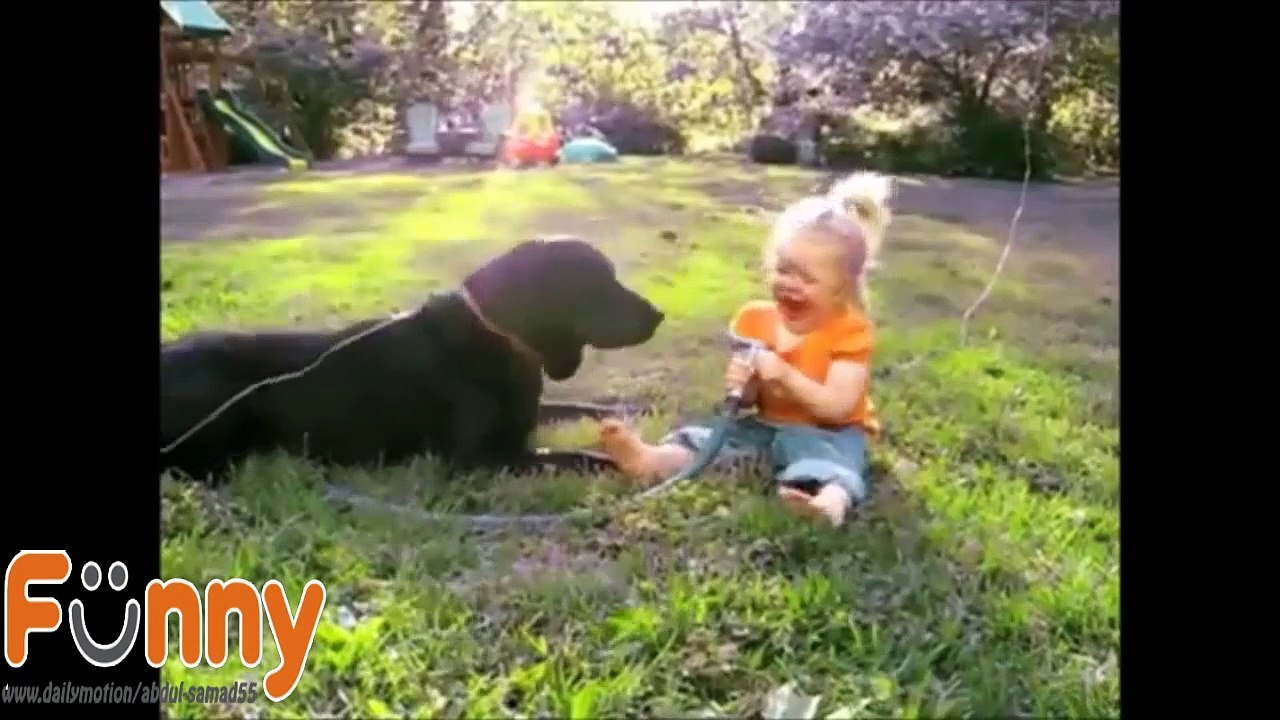 FUNNY DOGS _ BABIES