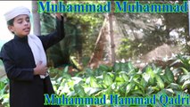 Muhammad Hammad Qadri - Muhammad Muhammad