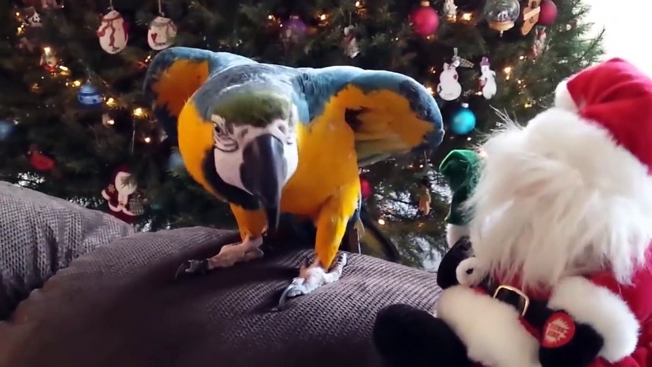 2015 en iyi sakarlıklar