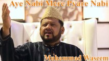 Muhammad Waseem - Aye Nabi Mere Pyare Nabi