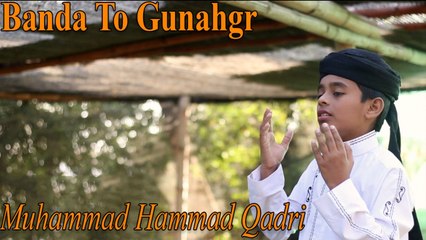 Muhammad Hammad Qadri - Banda To Gunahgr
