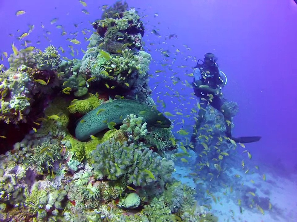 Egypte 2015 - 11