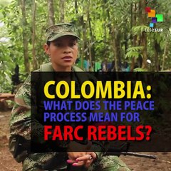What Does the Peace Mean for FARC Rebels? Chapter 1