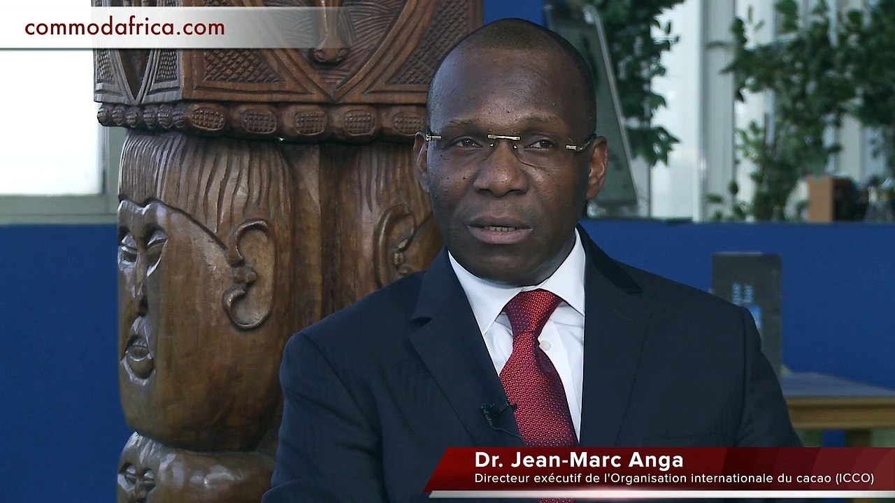 ITW Jean Marc Anga (ICCO)
