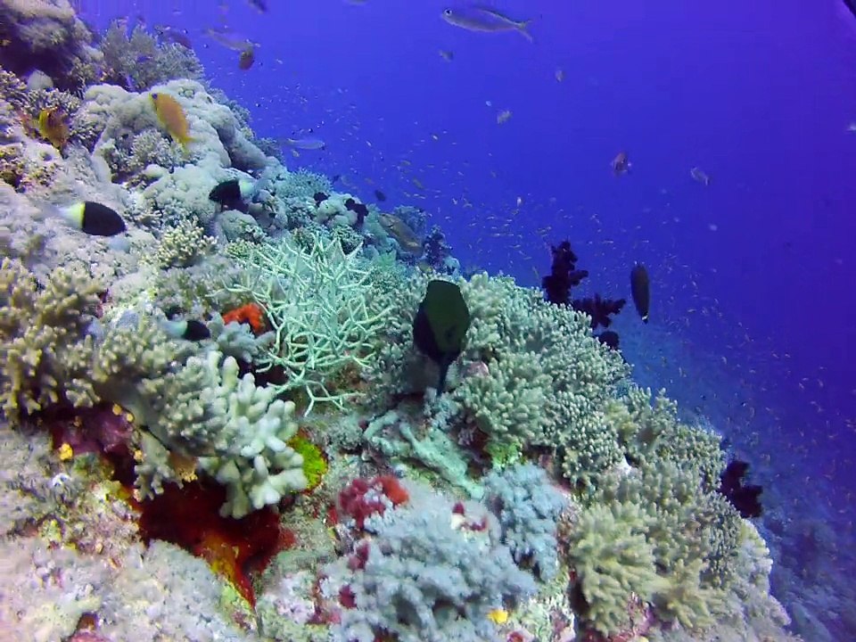 Egypte 2015 - 22