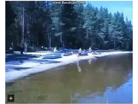 Пародии на поп музыку (прикол)