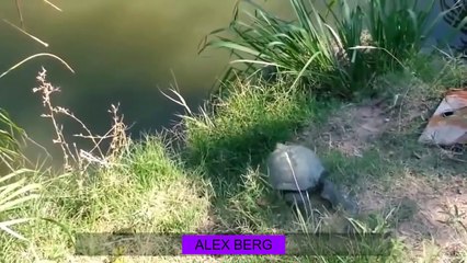 SUPER NEU TOP POPULÄR SPAß FUN # 1