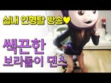 허윤미허니TV 섹시보라돌이 동심파괴편