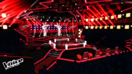 Modélisation 3D : THE VOICE, Les battles