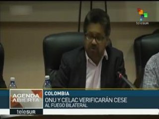 Colombia: FARC y gobierno pedirán a ONU y CELAC revisen cese al fuego