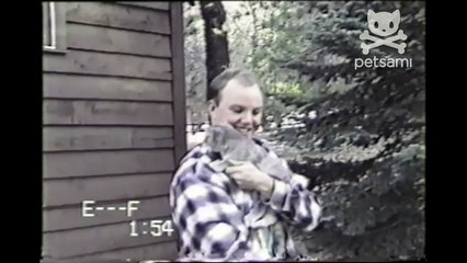 Kitten latches onto man's face in fear of being eaten by a dog