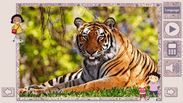 дикие и домашние животные для детей