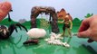 Giant Spider Playset Animal Planet | Insect & Spider Toys Videos for Kids Toypals.tv