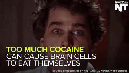 Cocaine Causes Brain Cells To Eat Themselves
