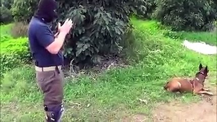 Антитеррористическая дрессировка