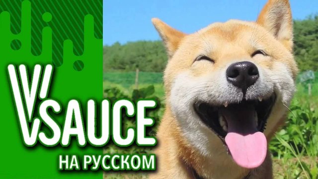 Vsauce Russian - 15 Сколько стоит любовь