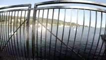 GoPro: Man Fights Off Great White Shark In Sydney Harbour