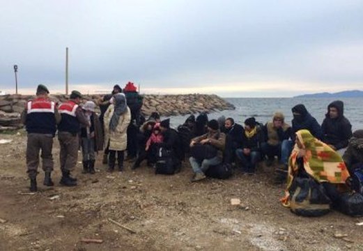 Ayvacık'ta Bir Günde 1496 Kaçak Yakalandı (2) - Yeniden