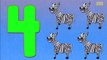 Counting Zebras | Learn to count numbers from 1 to 5