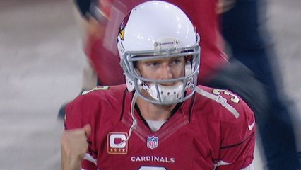 Palmer vs. Newton: Tale of the Tape