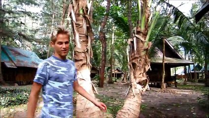 Transformation - Koh Chang, Thailand