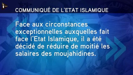Les salaires des combattants de l'Etat islamique réduits de moitié