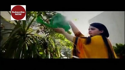 Shehzada Saleem New ARY Digital Upcoming Drama 2016