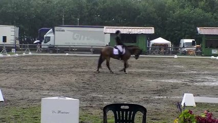 Kaolin dressage lamotte 2010