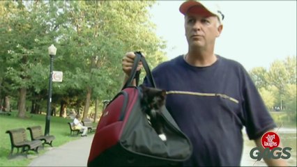 Kitten in a Bag - Throwback Thursday