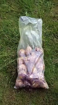 MDR - Comment eplucher des pommes de terre rapidement?